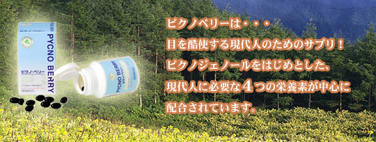 �s�N�m�W�F�m�[��