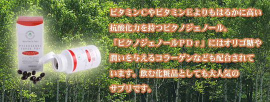 �s�N�m�W�F�m�[��