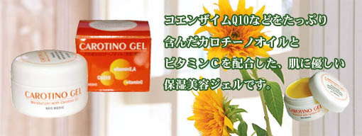 �ێ����e�W�F�� �i�J���`�[�m�W�F���j